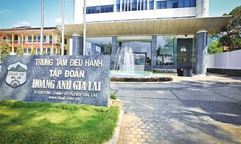 HAGL (HAG) duyệt kế hoạch 3.345 tỷ đồng trồng cà phê, nuôi tằm và nâng mục tiêu lợi nhuận