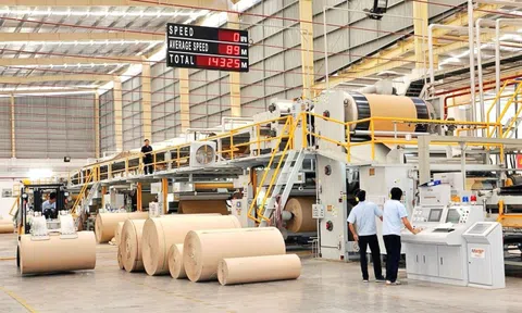 Đông Hải Bến Tre báo lãi tăng trưởng bất chấp doanh thu giảm