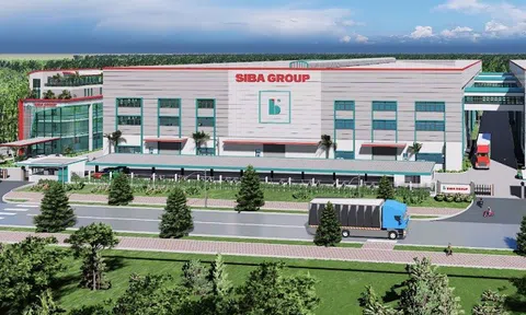 Doanh thu quý II giảm 57%, Siba Group (SBG) dồn vốn cho nhà máy công nghệ cao