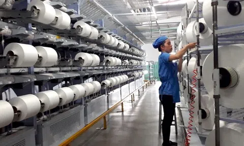 Sợi Thế Kỷ (STK): Chi phí tài chính 'cuốn trôi' lợi nhuận, báo lỗ hơn 6 tỷ đồng trong quý 2