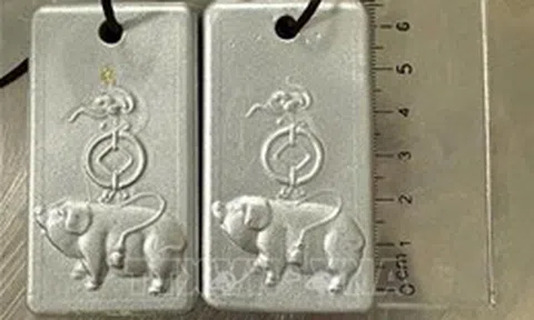 Truy tố đối tượng người nước ngoài mang vàng trái phép vào Việt Nam