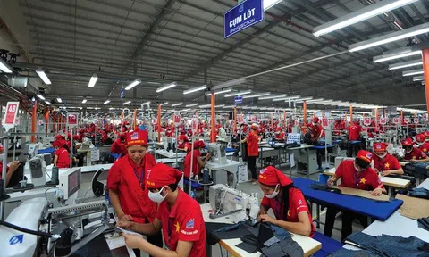 May 10 (M10) lãi 6 tháng cao kỷ lục, hoàn thành 75% kế hoạch lợi nhuận năm