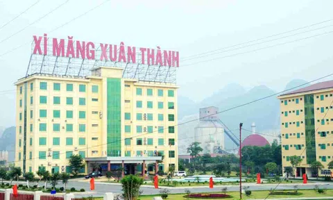 Xi măng Xuân Thành chi gần 90 tỷ đồng thanh toán lãi trái phiếu