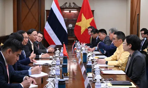 Phó Thủ tướng Bùi Thanh Sơn gặp Bộ trưởng Ngoại giao Thái Lan tại Bangkok