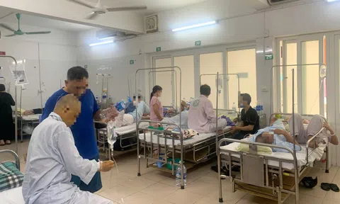 Hà Nội, TPHCM tăng cường phòng sốt xuất huyết