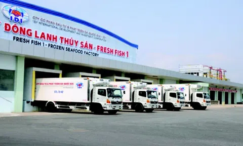 Đầu tư và Phát triển đa quốc gia (IDI) báo lãi ròng quý II/2025 tăng 83%, đạt 33 tỷ đồng