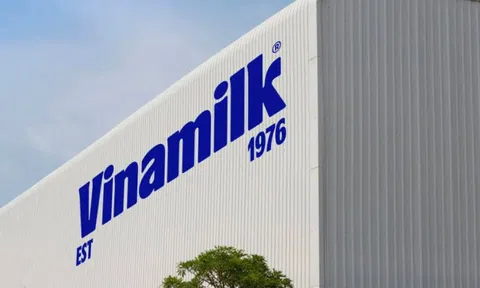 Vinamilk (VNM): Doanh thu quý II/2025 đạt kỷ lục 16.745 tỷ đồng, xuất khẩu tăng trưởng mạnh