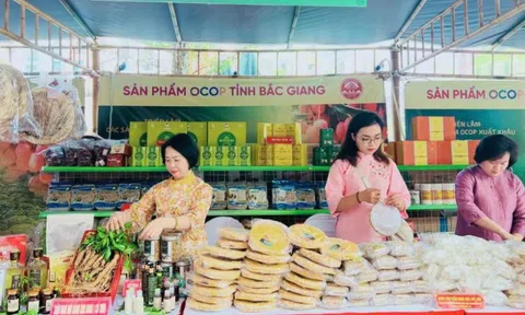 VIETNAM OCOPEX 2025: Thúc đẩy văn hóa vùng miền, đưa sản phẩm OCOP Việt Nam vươn tầm thế giới