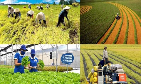 Ra mắt sổ tay hướng dẫn nhiệm vụ của chính quyền cấp xã lĩnh vực nông nghiệp và môi trường