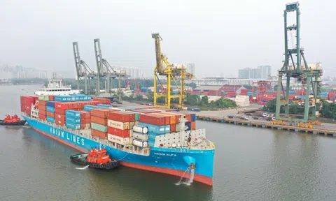 Nhờ sản lượng và giá cước vận tải tăng, Vận tải và Xếp dỡ Hải An (HAH) báo lãi quý II/2025 tăng gấp 3 lần cùng kỳ