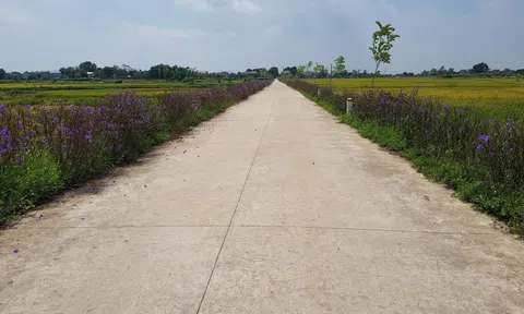 Hà Nội dẫn đầu cả nước về xây dựng nông thôn mới
