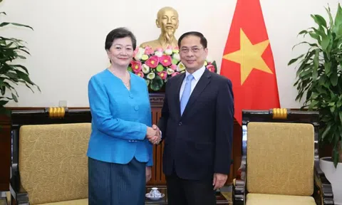 Phó Thủ tướng, Bộ trưởng Ngoại giao Bùi Thanh Sơn tiếp Đại sứ Campuchia Chea Kimtha