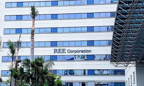 Cổ phiếu SGR tăng hơn 34%, công ty con của REE vẫn chưa thoái vốn