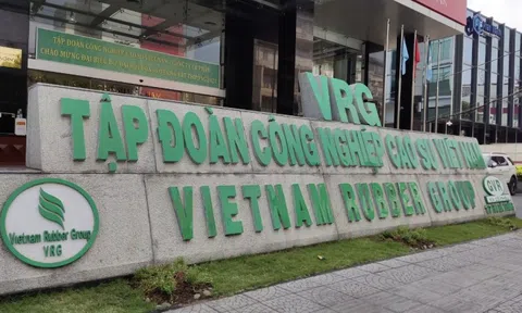 Công nghiệp Cao su Việt Nam (GVR) báo lãi sau thuế bán niên tăng gần gấp đôi so với cùng kỳ