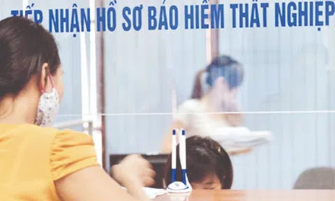 Trường hợp bị chấm dứt hưởng trợ cấp thất nghiệp từ 1/1/2026, ai cũng nên biết