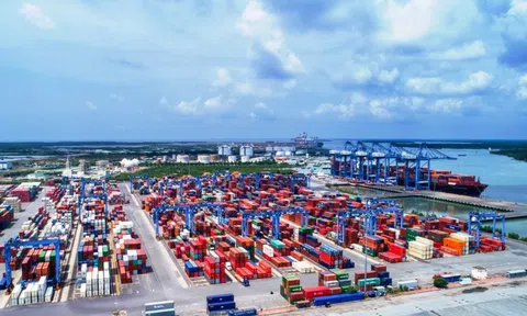 Thành lập Hội đồng thẩm định chủ trương xây dựng Tổ hợp khu cảng Cái Mép Hạ hạ lưu, trung tâm logistics