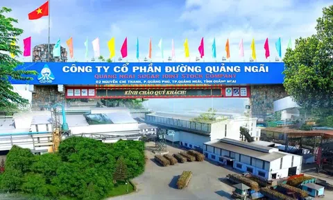 Cổ đông của Đường Quảng Ngãi (QNS) sắp nhận được 368 tỷ đồng tiền cổ tức đợt 1/2025