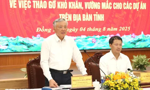 Đồng Nai cần tiếp tục rà soát, tổng hợp đầy đủ các dự án còn có khó khăn, vướng mắc