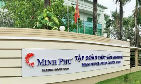 Minh Phú (MPC): Doanh thu giảm nhẹ, lợi nhuận quý II/2025 tăng gấp 4 lần
