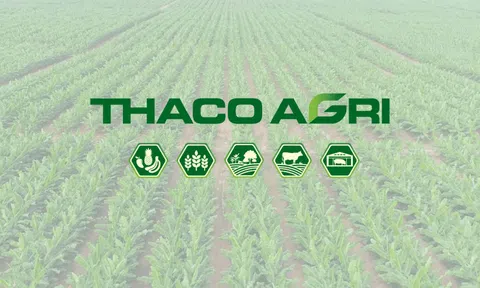 HAGL Agrico (HNG) bổ nhiệm Phó Tổng giám đốc mới