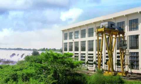 Thủy điện - Điện lực 3 (DRL) tạm ứng cổ tức tiền mặt tỷ lệ 20%