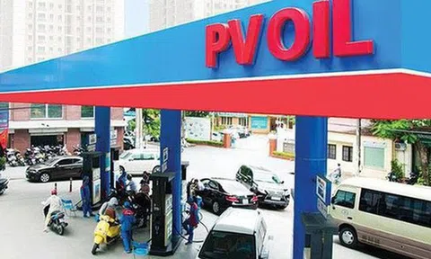 PV OIL (OIL) lợi nhuận quý II/2025 gấp đôi cùng kỳ