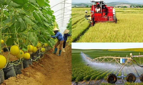 Bộ Nông nghiệp và Môi trường thành lập 10 đoàn công tác hỗ trợ giải quyết vướng mắc của địa phương