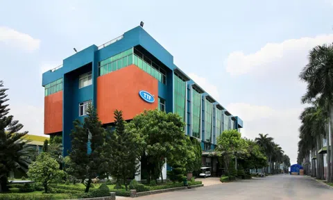 Lãi 3 quý liên tiếp, Gỗ Trường Thành vẫn lỗ lũy kế hơn 3.200 tỷ đồng