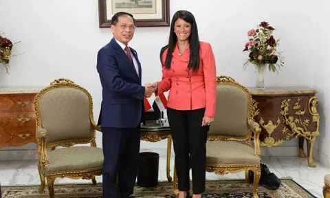 Ai Cập mong muốn tìm hiểu kinh nghiệm phát triển của Việt Nam