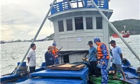 Cảnh sát biển xử lý gần 650 vụ vi phạm pháp luật trên biển với số tiền khoảng 50 tỷ đồng