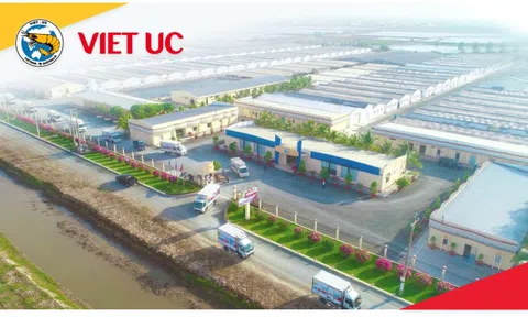 'Vua tôm giống' Thủy sản Việt Úc báo lỗ hơn 41 tỷ đồng sau 6 tháng