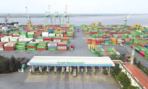 Viconship (VSC): Hoàn thành 78% mục tiêu lợi nhuận sau 6 tháng, trình cổ đông phương án tăng kế hoạch cả năm