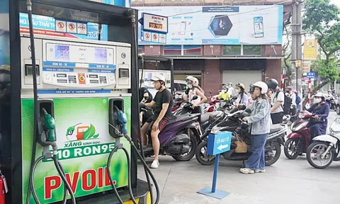 Thí điểm xăng E10: Cuộc chơi của các doanh nghiệp đầu ngành