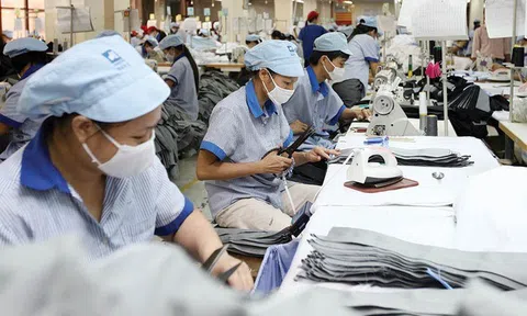 174.000 doanh nghiệp gia nhập thị trường trong 7 tháng đầu năm