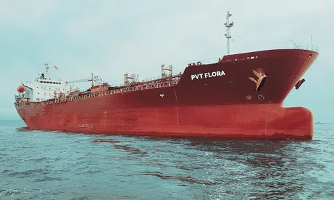 Nghịch lý tại PDV Logistics: Liên tục nhận tàu mới, lợi nhuận bán niên sụt giảm 70%