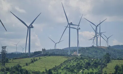 Quảng Trị: 21 dự án điện gió vận hành thương mại với tổng công suất 994,2MW