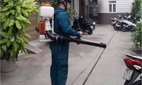 TP Hồ Chí Minh: Chủ động các biện pháp trước nguy cơ tái xuất hiện bệnh Chikungunya