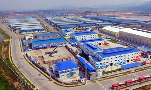 Thị trường kho bãi toàn cầu chững lại, Việt Nam nổi lên như một 'điểm sáng' khi sở hữu loạt lợi thế