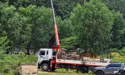 Điều khiển xe cẩu vướng dây điện, 2 người thương vong