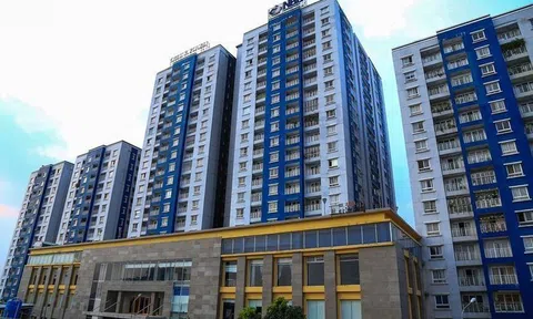 Năm Bảy Bảy (NBB) thoái vốn khỏi mảng đá xây dựng, tập trung cho dự án 4.136 tỷ đồng tại TP.HCM