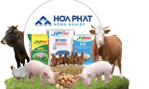 Lĩnh vực chăn nuôi của Hòa Phát (HPG) báo lãi tăng 135% nhờ giá trứng, sản lượng duy trì 1 triệu quả/ngày
