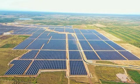 Xuân Thiện Đắk Lắk báo lãi gần 90 tỷ đồng, dư nợ trái phiếu còn hơn 4 tỷ