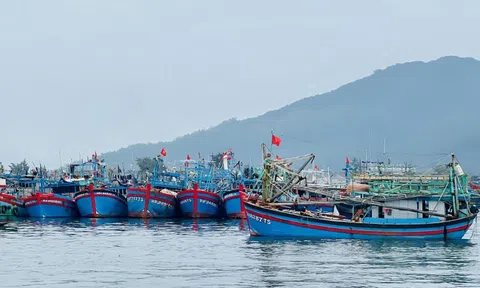 Đà Nẵng đặt quyết tâm cao nhất chấm dứt tình trạng vi phạm IUU