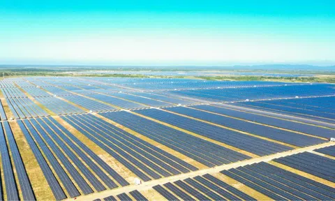 Thành viên của Xuân Thiện Group báo lãi ròng bán niên tăng 49%, nợ phải trả giảm hơn 150 tỷ đồng