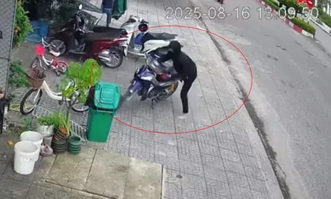 Hà Tĩnh: Bắt nóng đối tượng cướp giật chỉ sau chưa đầy 2 tiếng gây án