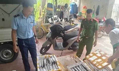Tiêu hủy hơn 1.000 kg các loại côn trùng không rõ nguồn gốc xuất xứ