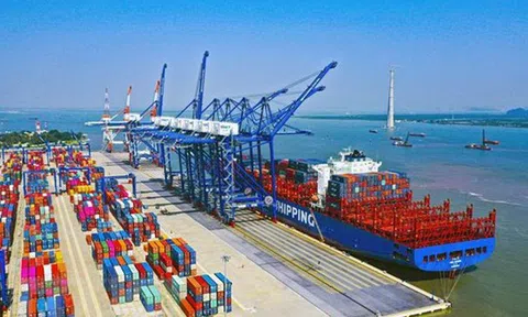 Dịch vụ biển Tân Cảng (TOS): Sắp phát hành 14 triệu cổ phiếu thưởng sau khi chi 93 tỷ đồng cổ tức tiền mặt