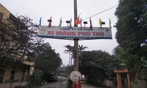 Xi măng Phú Thọ (PTE): Lỗ lũy kế 471 tỷ, kiểm toán nghi ngờ khả năng hoạt động