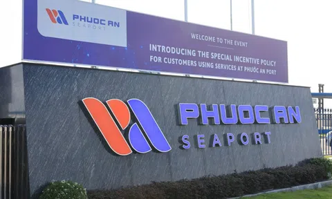 Cảng Phước An (PAP) lỗ kỷ lục gần 250 tỷ, bất ngờ có nữ Phó Tổng Giám đốc 23 tuổi