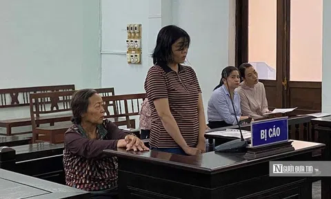 Mua bán khống hoá đơn chứng từ, 2 người phụ nữ lĩnh án